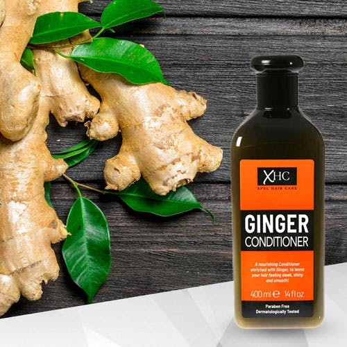 XHC Ginger Conditioner 400ml