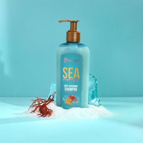 Mielle Sea Moss Anti Shedding Shampoo 8oz